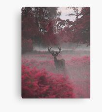 Another Stag, Another Planet 2 Metal Print