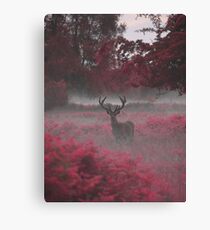 Another Stag, Another Planet 2 Canvas Print