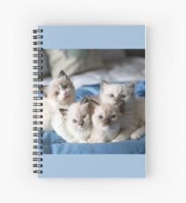Cuaderno de espiral Atticus, Lee, Harper y Finch