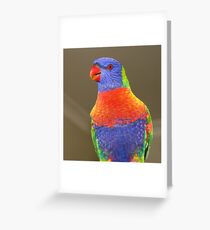 Rainbow Lorikeet Greeting Card