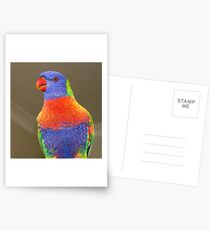 Rainbow Lorikeet Postcards