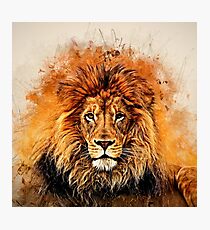 Liquid Lion Photographic Print
