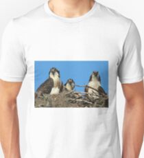 Osprey Family Photo Unisex T-Shirt