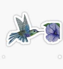 Hummingbird Sticker