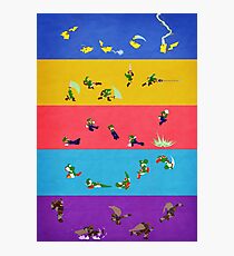 Simply Melee Poster Three Photographic Print