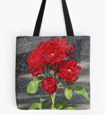 Sprinkler shower, Bolzano/Bozen, Italy Tote Bag