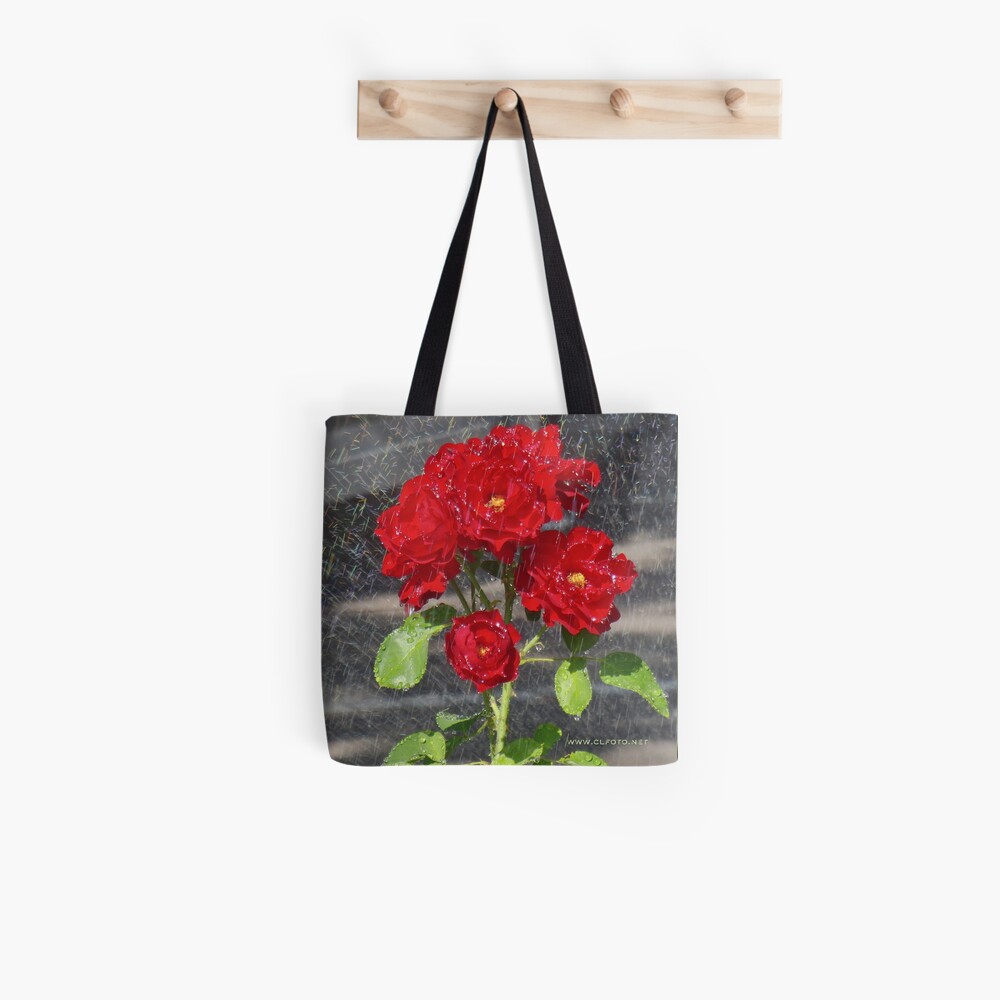 Sprinkler shower, Bolzano/Bozen, Italy Tote Bag