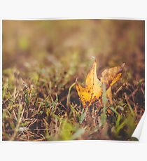 Untitled Poster