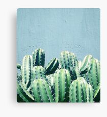 Cactus & Teal #redbubble #lifestyle Canvas Print