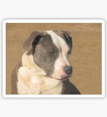 Grace Sticker