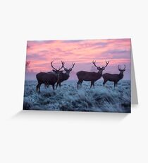 Winter wonderland of frosty stags Greeting Card