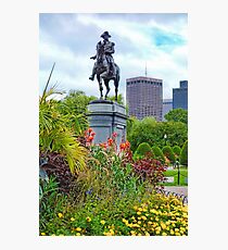 Boston Common Study 6 Photographic Print