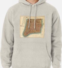 Sudadera con capucha Vintage Map of Lower New York City (1807)