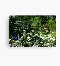The 5 bar Canvas Print