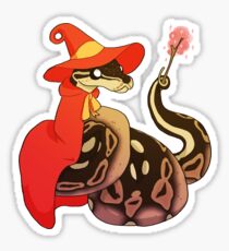 Ball Python - Pancake Sticker