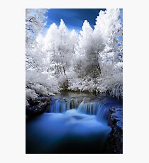 Kerosine creek in infrared 2 Photographic Print