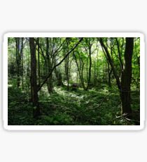 Forest Sticker