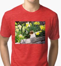 Buttery Spring Tri-blend T-Shirt