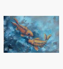 Piscean by 'Donna Williams' Photographic Print