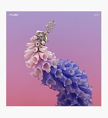 Flume Skin Photographic Print