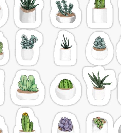 Succulents: Stickers | Redbubble
