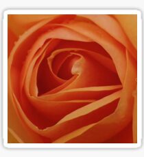 Orange Rose Sticker