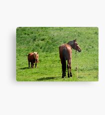 caballos Metal Print