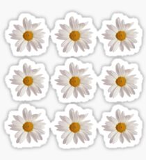 Daisy Patterned shirts and cases Sticker