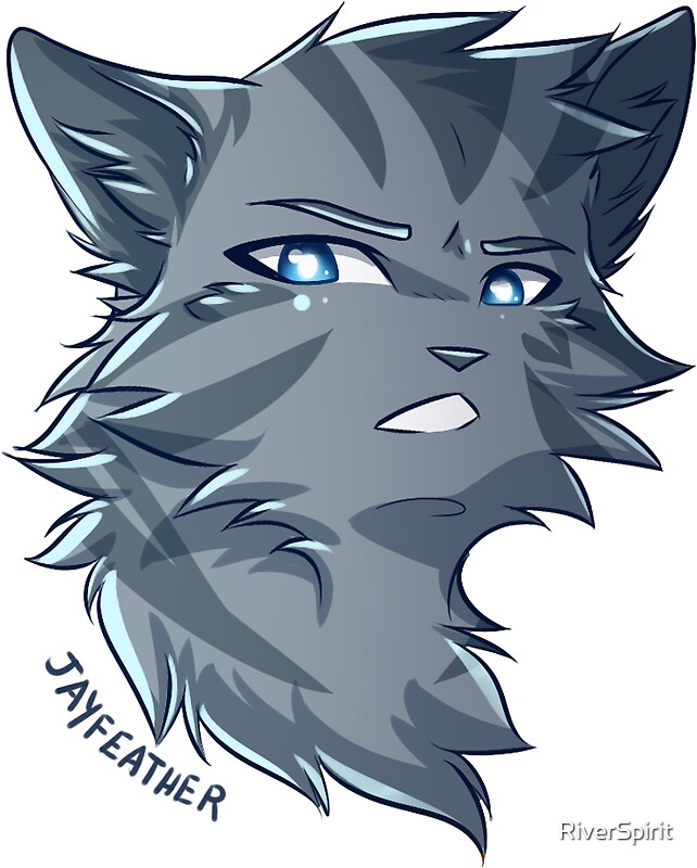 Image result for jayfeather