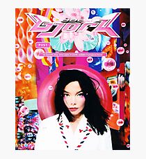 BJORK TOURS 1 Photographic Print