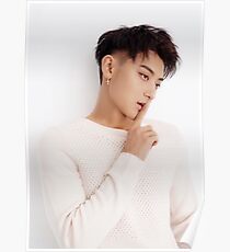 zitao Poster