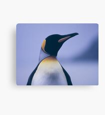 King Penguin Canvas Print