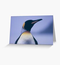 King Penguin Greeting Card
