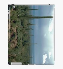 Arizona Desert and Cactuses iPad Case/Skin