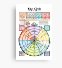 Unit Circle Metal Print