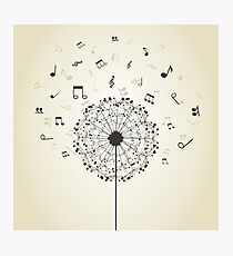 Music a dandelion Photographic Print