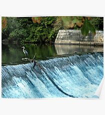 Heron - Looking towards the Future Poster