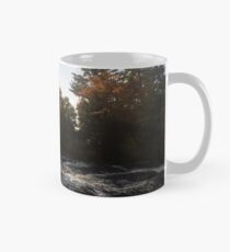 Soft Rays - Mug