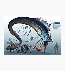 Gyarados Photographic Print