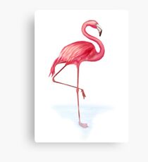 Flamingo Canvas Print