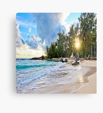Sunrise at Baldwin Cove Metal Print
