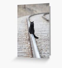Black Cat on Railroad Tracks Greeting Card