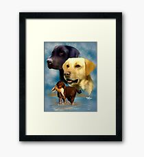 Labrador Retrievers Framed Print