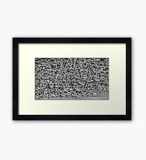 Snowstorm Framed Print