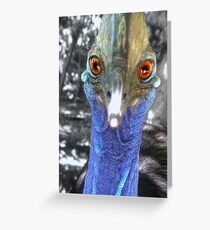 Cassowary Greeting Card