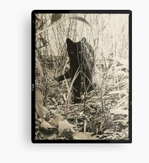 Kitty in Wonderland Metal Print