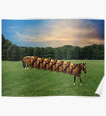 (✿◠‿◠) HORSE LIMO RIDES SEVEN LETS RIDE LOL (✿◠‿◠) Poster