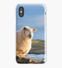 Donegal Sheep iPhone Case