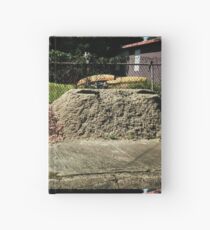 Brothers Hardcover Journal