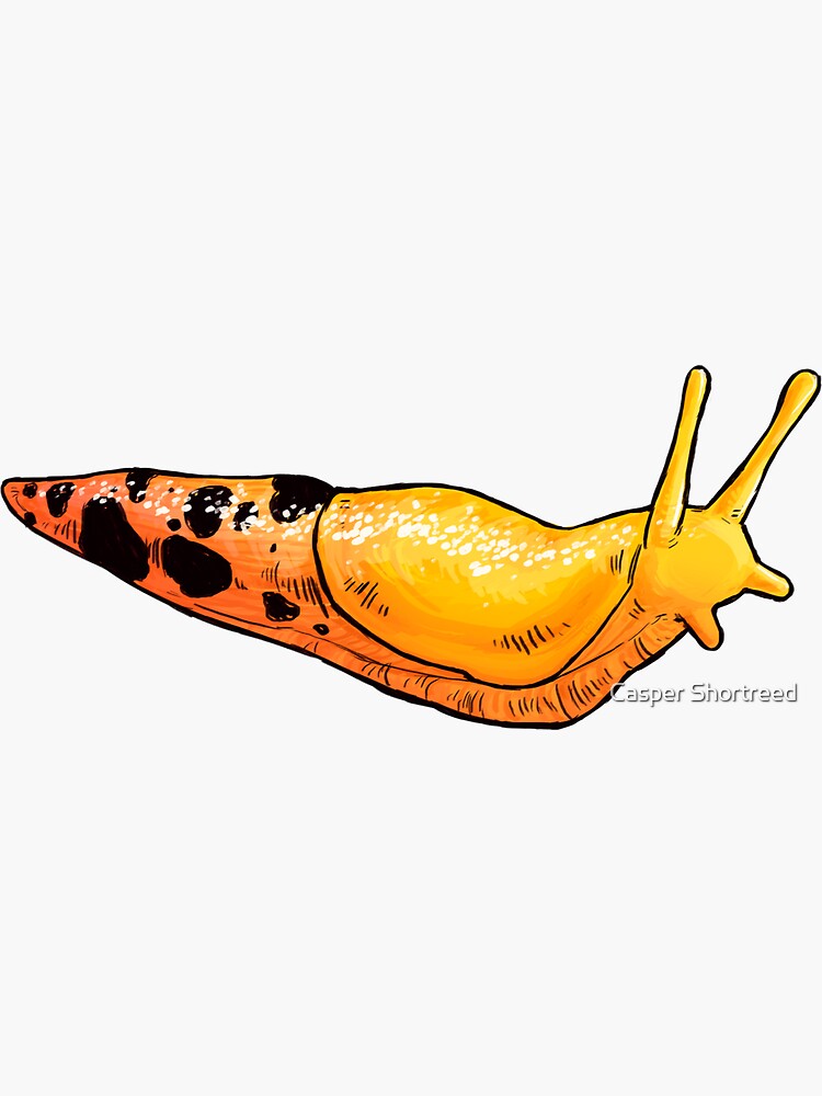 “Banana Slug” Sticker by astropaws | Redbubble